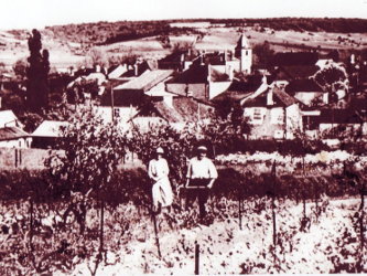perron-arnoult