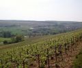 Printemps  à Heronveau, Meurville, Cote des Bar, Champagne